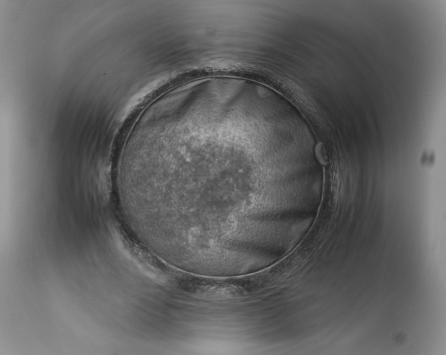 X0000113350488200909291059