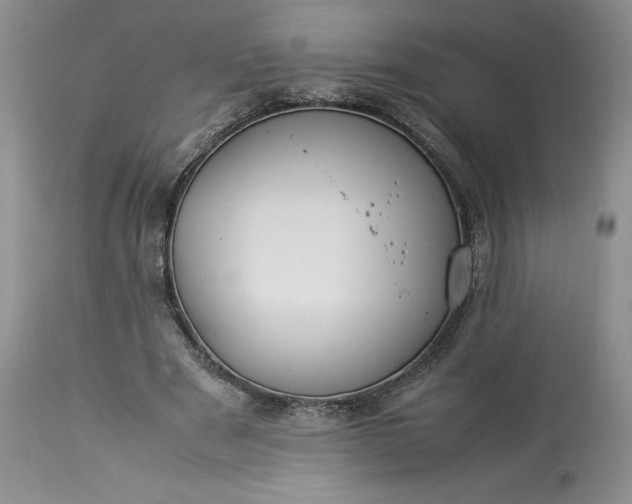 X0000113350489200909291059