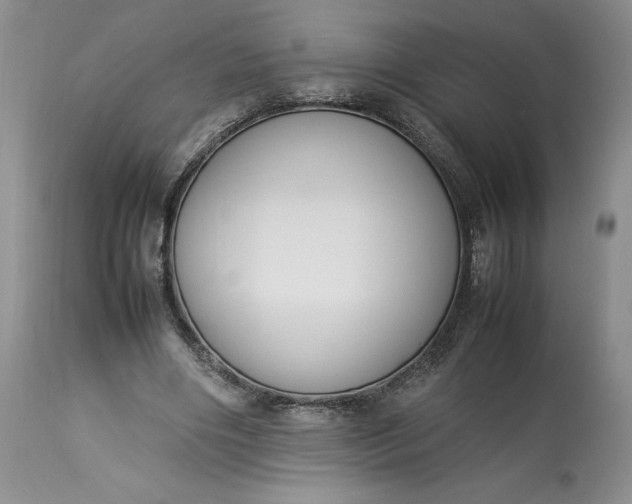 X0000113350490200909291059