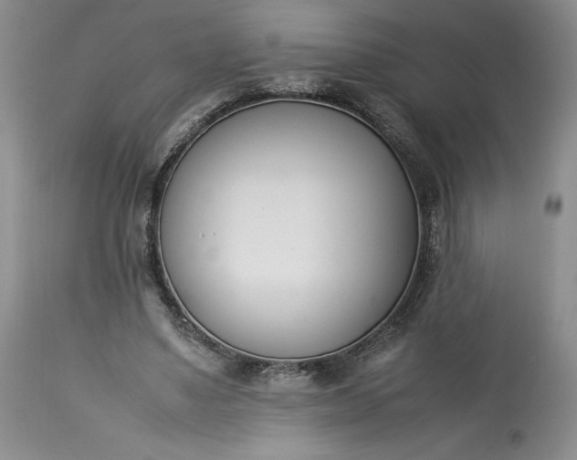 X0000113350491200909291059