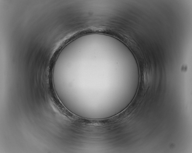 X0000113350492200909291059