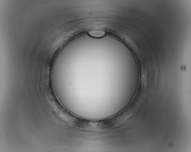 X0000113350493200909291059