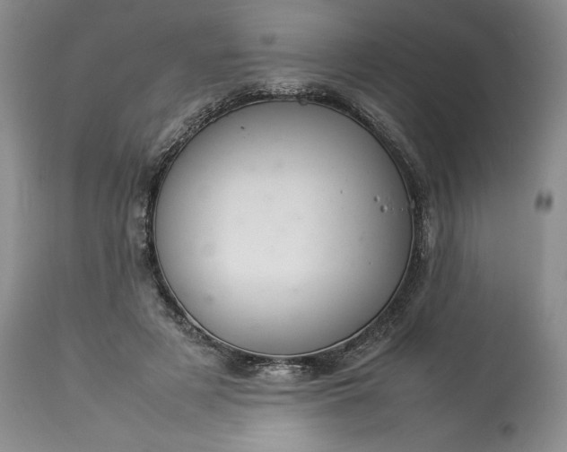 X0000113350497200909291059