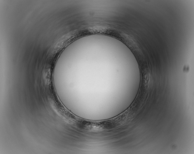 X0000113350498200909291059