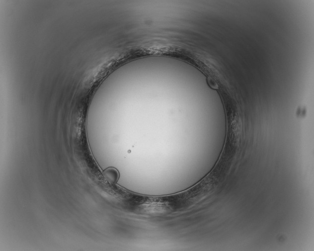 X0000113350499200909291059