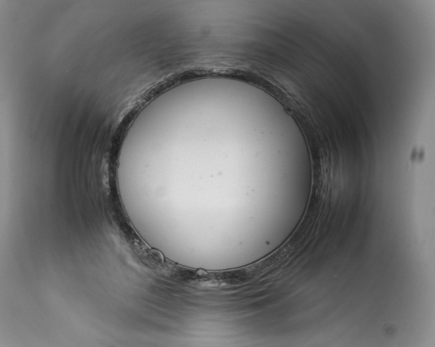 X0000113350500200909291059