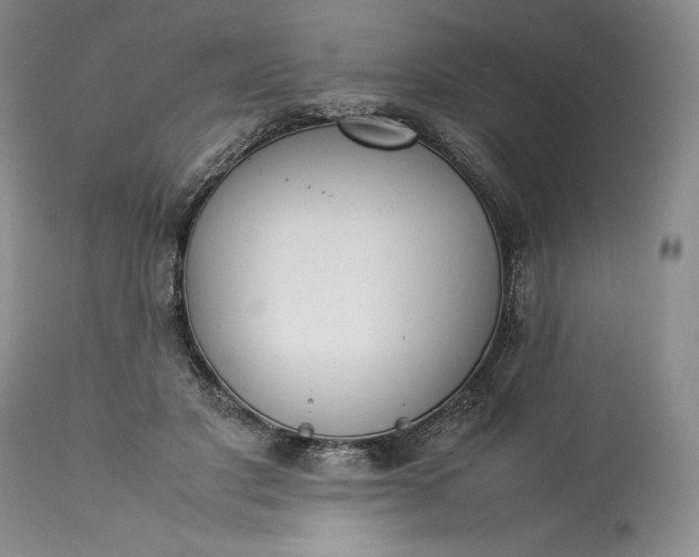 X0000113350501200909291058