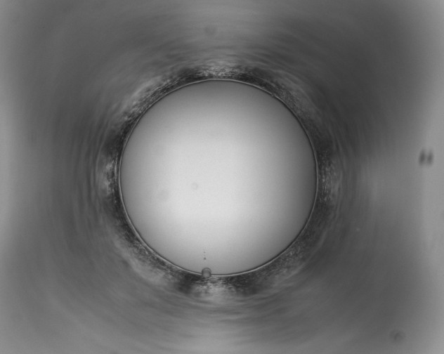 X0000113350503200909291058