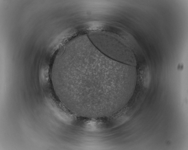 X0000113350504200909291058