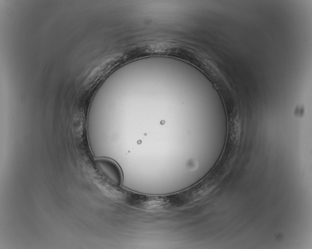 X0000113350505200909291058