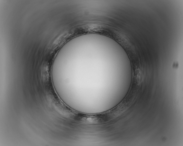 X0000113350506200909291058