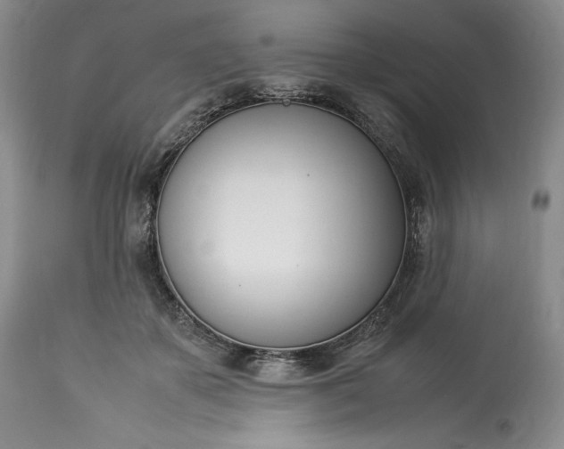 X0000113350507200909291058