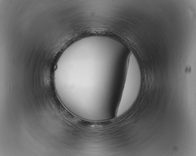 X0000113350508200909291058