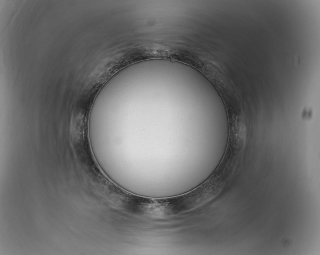 X0000113350511200909291058