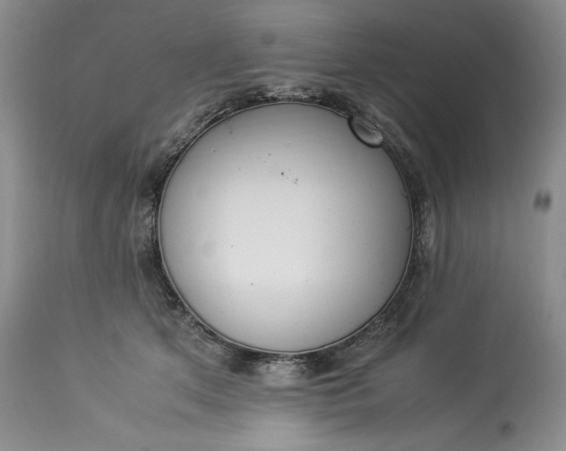 X0000113350513200909291058