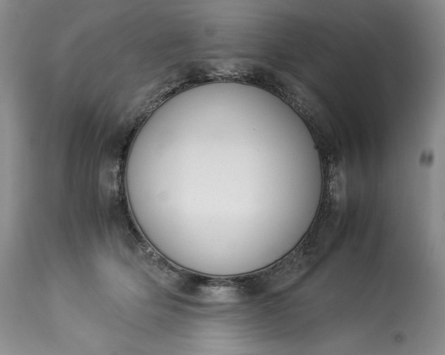 X0000113350514200909291058