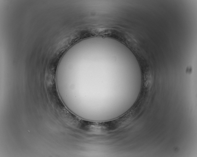 X0000113350515200909291058