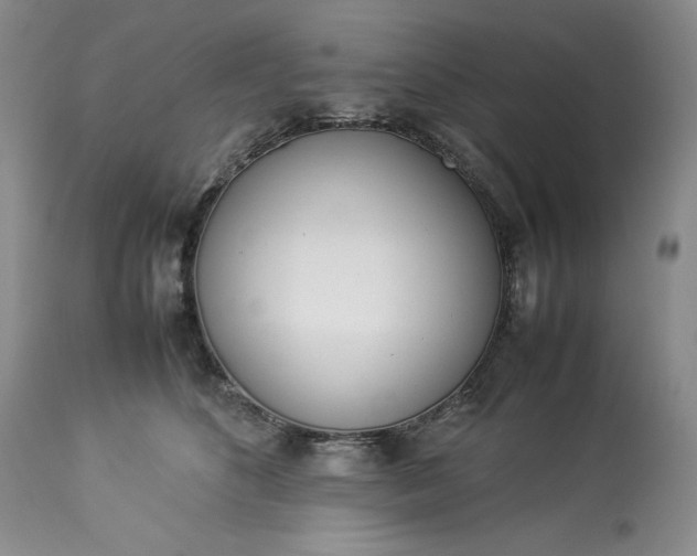 X0000113350516200909291058