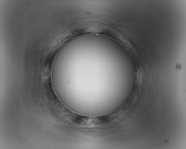 X0000113350517200909291058