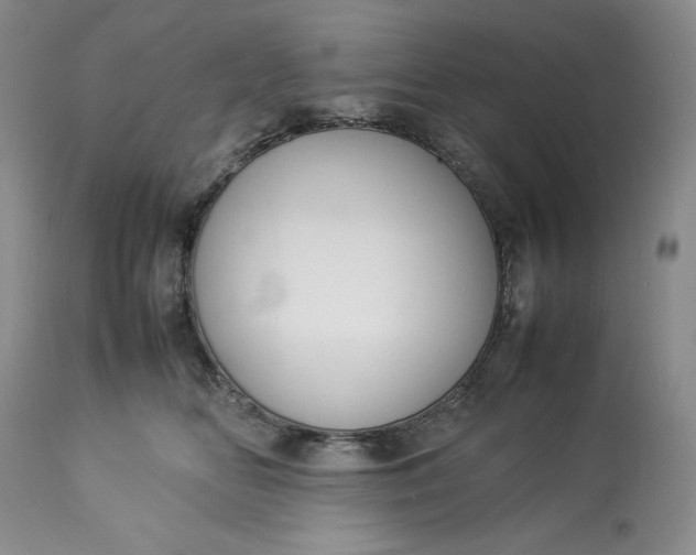 X0000113350518200909291058