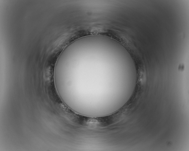 X0000113350519200909291058