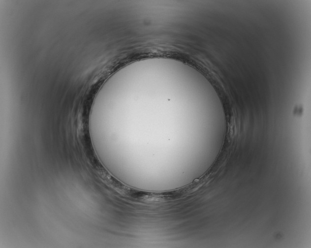 X0000113350520200909291058