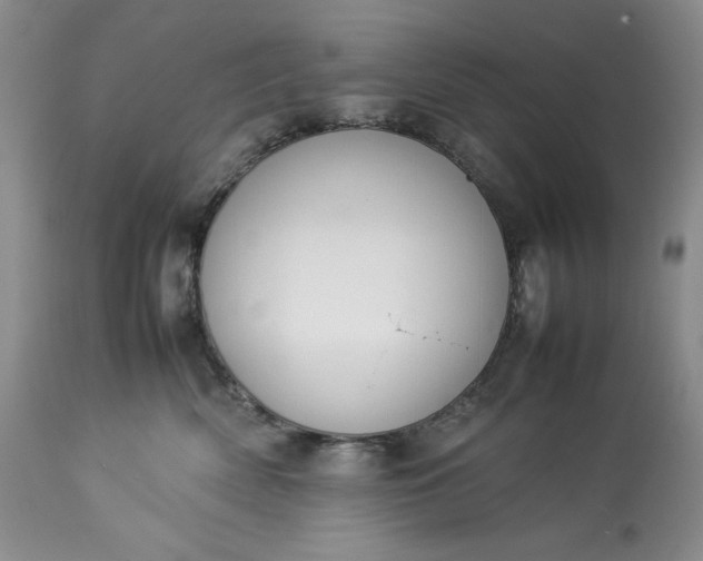 X0000113350522200909291058