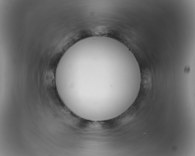 X0000113350523200909291058