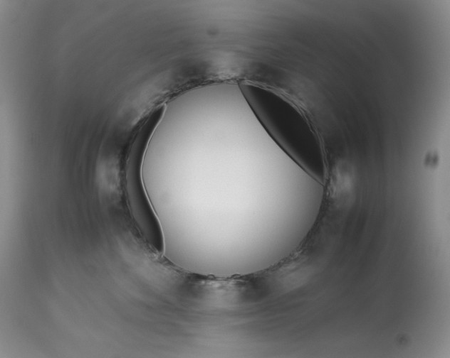 X0000113350524200909291058