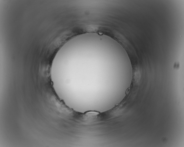 X0000113350525200909291058