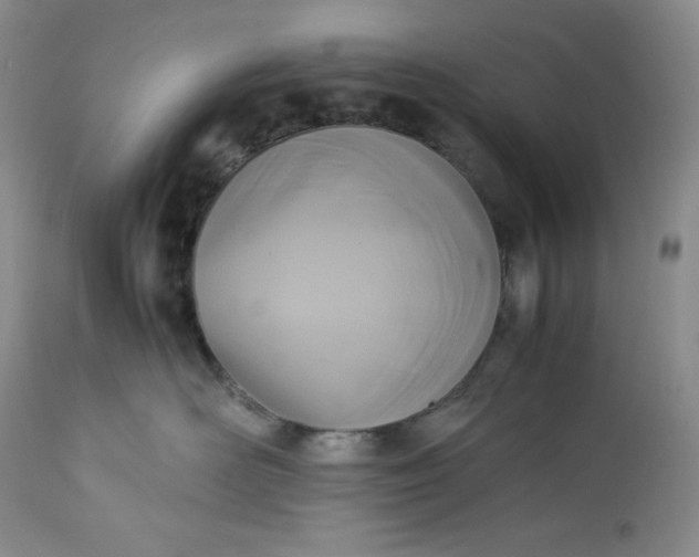 X0000113350526200909291058