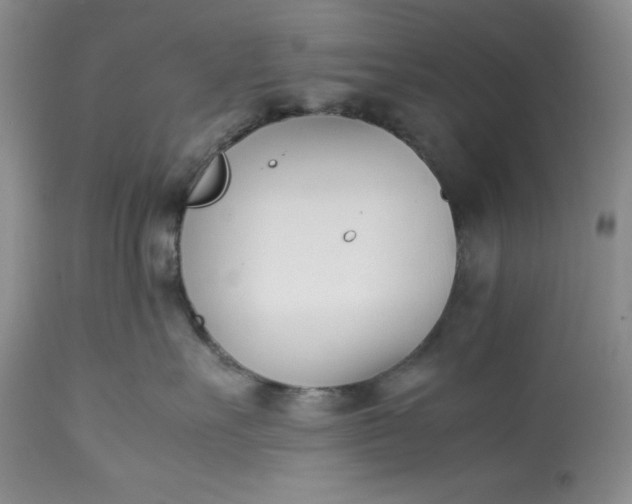 X0000113350527200909291058