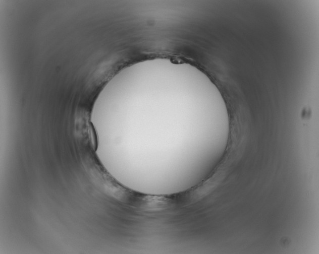 X0000113350528200909291058