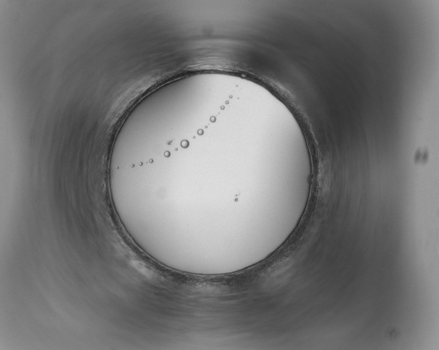 X0000113350529200909291057