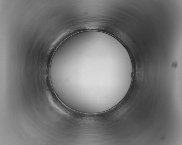 X0000113350530200909291057