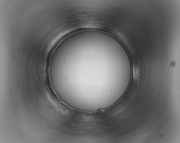 X0000113350531200909291057