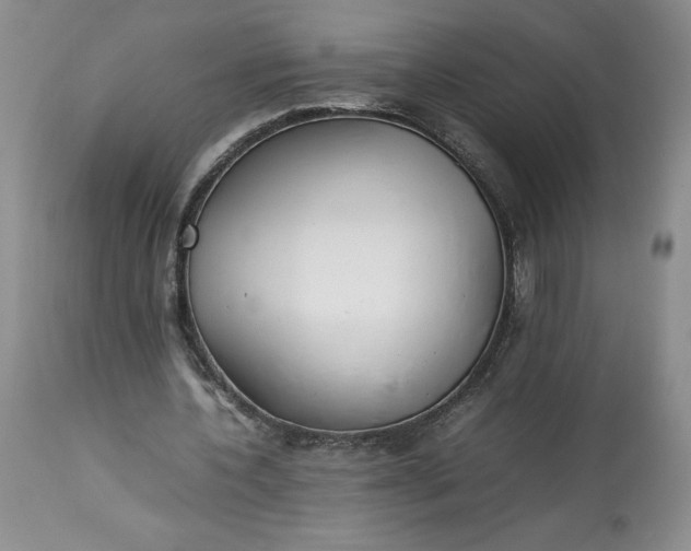 X0000113350532200909291057