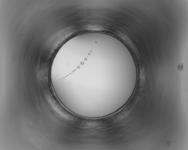 X0000113350533200909291057