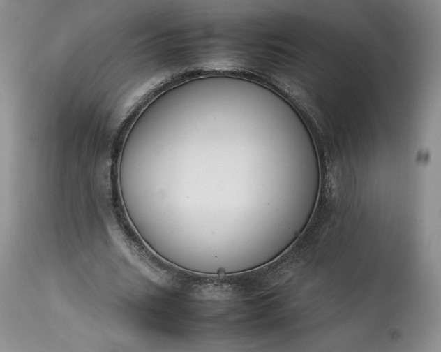 X0000113350535200909291057