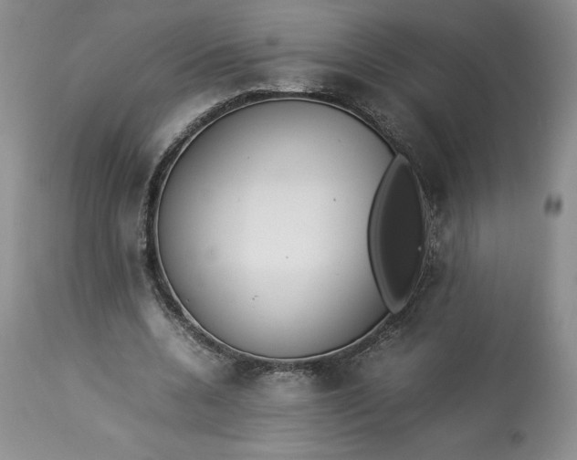 X0000113350536200909291057