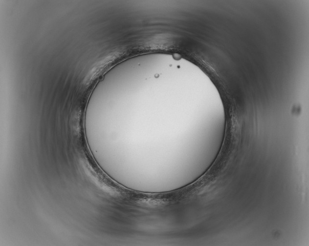 X0000113350537200909291057