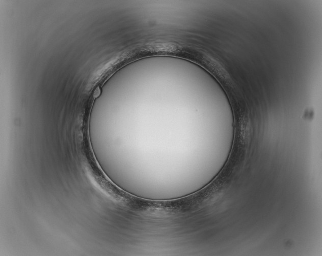 X0000113350538200909291057