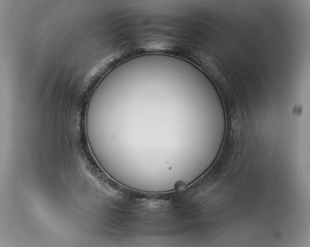 X0000113350539200909291057