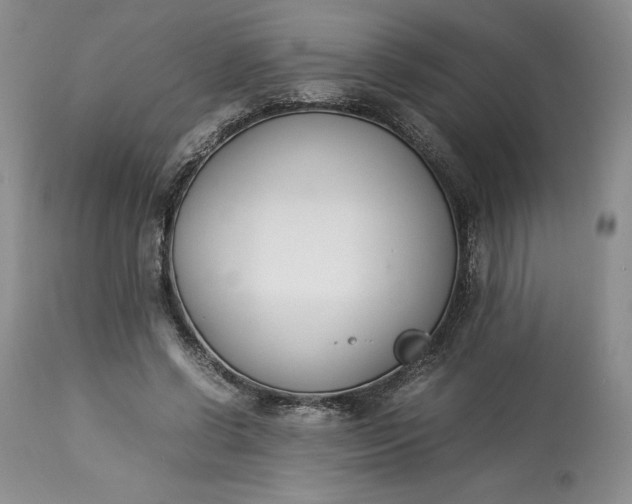 X0000113350542200909291057