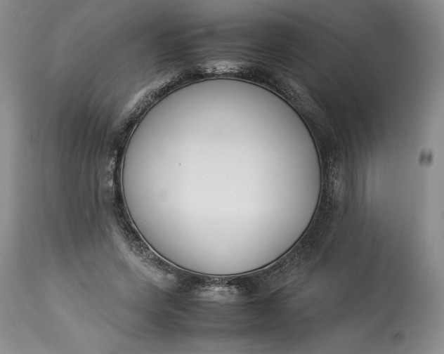 X0000113350543200909291057