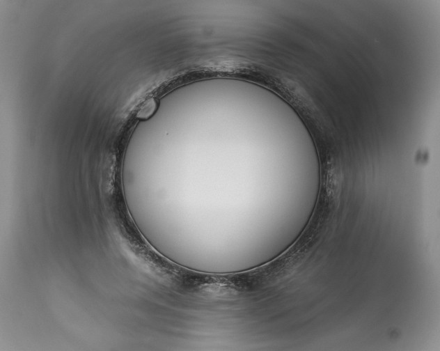 X0000113350544200909291057