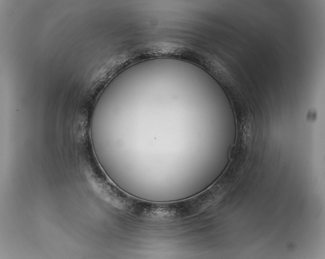 X0000113350546200909291058