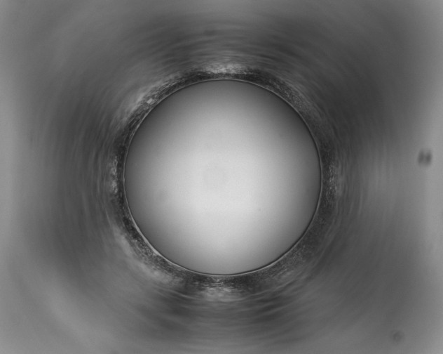 X0000113350547200909291058