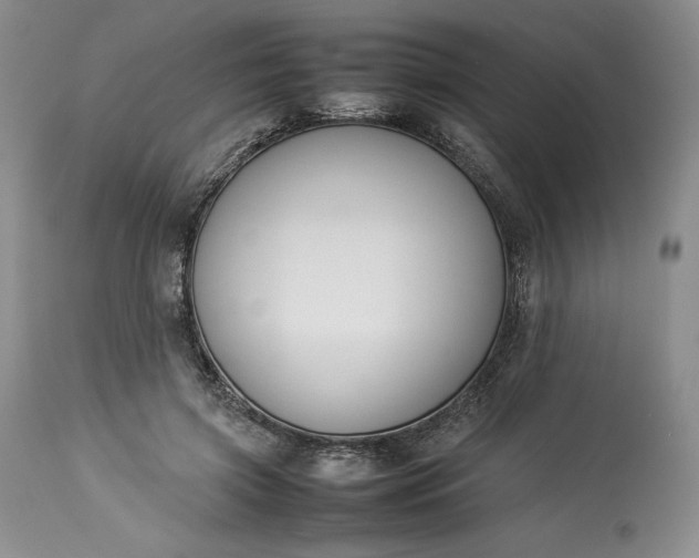 X0000113350549200909291058