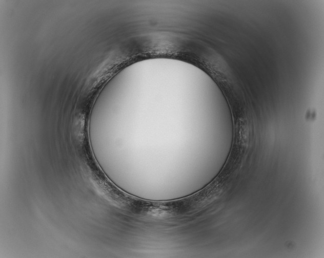 X0000113350550200909291058